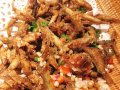 沙坑鱼-大榕树下顺德菜(融创茂店)