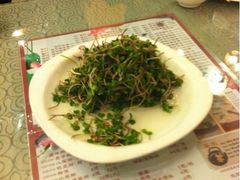 糖醋萝卜苗-粥全粥到
