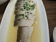 清蒸白鱼-锡和无锡菜(景丽苑店)