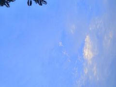 -阳台山自然风景区