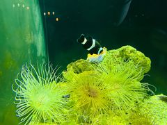 -太平洋海底世界