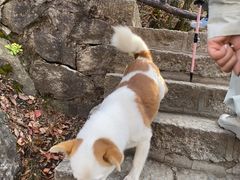 -秦岭终南山世界地质公园翠华山景区