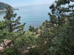 -青岛崂山太清宫