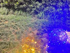 -杭州君悦酒店-健身房