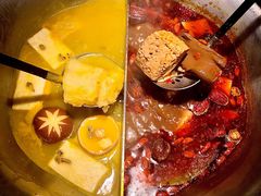 红颜花胶鸡锅-湊湊火锅·茶憩(东城万达店)