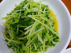 -全乐鱼馆·淳牌有机鱼直营店