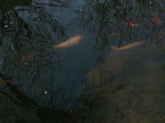 -春风习习
