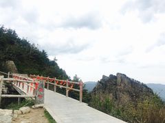 -牛背梁国家森林公园