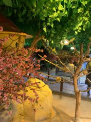 -酷嗒动物文化乐园(cutezoo西溪乐天城店)