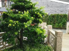 -顺德了能馆(虎门店)