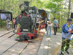 -五营红松林海景区