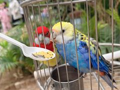 -南宫五洲植物乐园