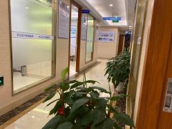 -碧莲盛·不剃发植发
