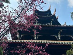 -望江楼公园