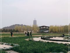 -永定河休闲森林公园