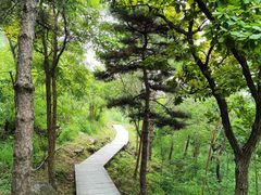 -北京十三陵国家森林公园蟒山景区