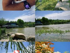 -春花秋色城市公园