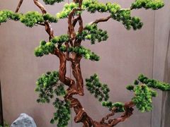 -豆花姐烂豆花火锅(御碑楼路乐园小区店)