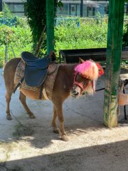 -萌宠亲子动物乐园(槐房万达店)