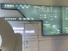 -棕榈MALL
