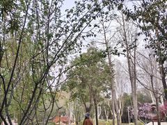 -郑州植物园