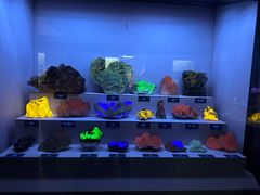 -湖南省地质博物馆