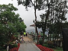 -铁山坪森林公园