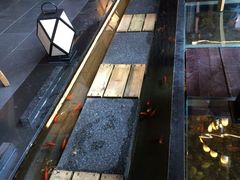 -颐和•海鲜砂锅粥•啫啫煲(奥林匹克广场店)