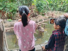 -长鹿旅游休博园