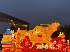 -武汉园博园(武汉自然博物馆)