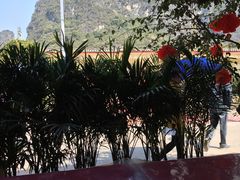 -生态苑农庄(十里画廊遇龙河店)