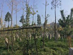 -西安关中民俗艺术博物院