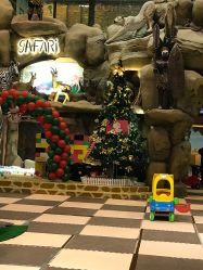 -卡通尼·Safari非洲探索乐园·生日会(金桥国际商业广场店)