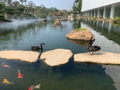 -罗红摄影艺术馆