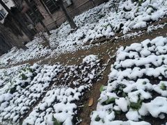 -天安门城楼