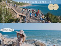 -广东惠东海龟国家级自然保护区