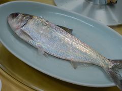 -沪依小酒馆心意菜