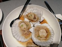 扇贝-徐记海鲜(南油永新汇店)