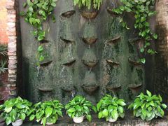 -小洲村