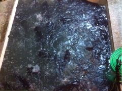iphone_upload_pic-旭龙鱼头王(航华店)