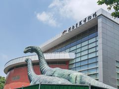 -河南自然博物馆