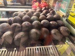 -油梨树 AVOCADO TREE(亮马桥店)