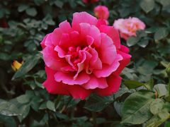 -人民公园(罗湖区)