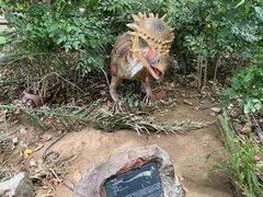 -呀路古热带植物园