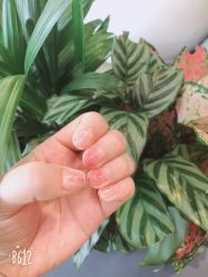 -雪儿·YuKi美甲美睫皮肤管理Salon