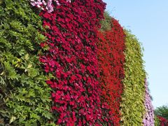 -深圳国际园林花卉博览园