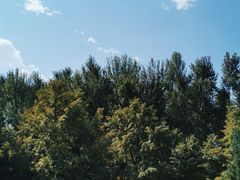 -长春世界雕塑园
