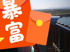 -芒洲湿地公园