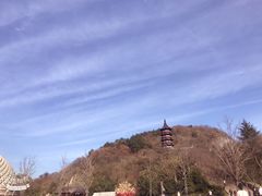 -牛首山文化旅游区