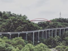 -金鸡山公园
